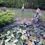 Guest house D Hotes