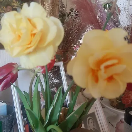 D Hotes 3* Saint-Laurent-de-la-Barriere