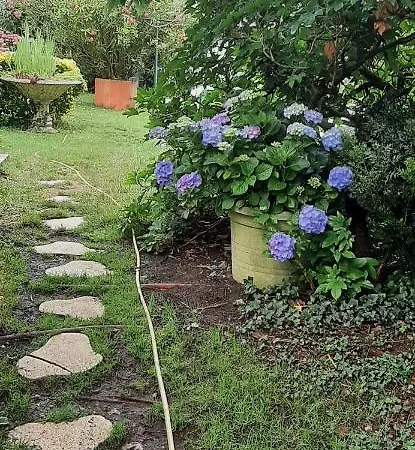 Pensionat D Hotes 3*